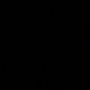 Meet your Posher, Cassidy